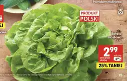 Delikatesy Centrum Sałata masłowa polska oferta