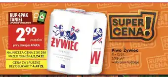 Piwo Żywiec Premium 4-pak