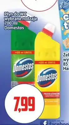 Kupiec Płyn do WC Domestos Pine +100ml gratis oferta