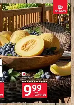 Selgros Melon Galia oferta