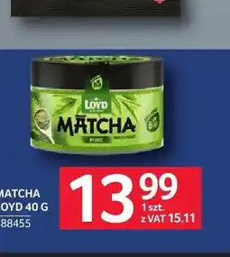 Selgros Matcha Loyd oferta