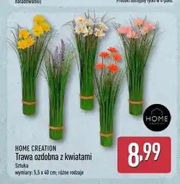 ALDI Trawa ozdobna z kwiatami HOME CREATION oferta