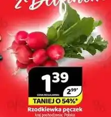 Delfin Rzodkiewka pęczek Polska oferta