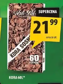 Arhelan Kora sosnowa Ark-Pol oferta