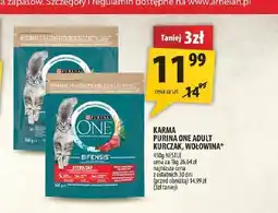 Arhelan Karma Purina ONE Adult kurczak oferta