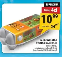 Arhelan Jaja z wolnego wybiegu kl. M Invest Michel oferta