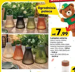 Bricomarche Lampion solarny wym. 11,5x14cm oferta