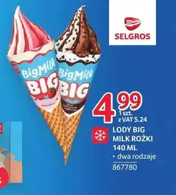 Selgros Lody Big Milk rożki oferta