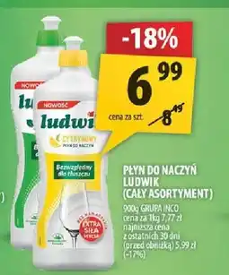Arhelan Płyn do naczyń Ludwik oferta