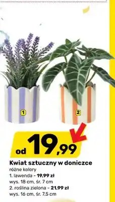 Bricomarche Kwiat sztuczny w doniczce lawenda wys. 18cm śr. 7cm oferta