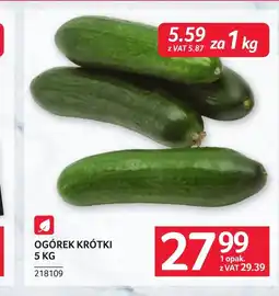 Selgros Ogórek oferta