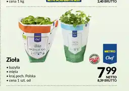 Makro Zioła bazylia METRO Chef polskie oferta
