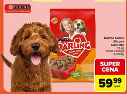 Carrefour Market Karma dla psa Purina oferta