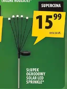 Arhelan Słupek ogrodowy solar LED Sprinkle oferta
