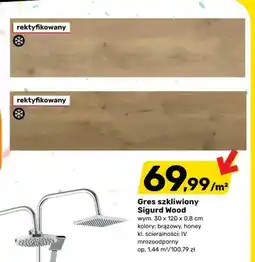 Bricomarche Gres szkliwiony Sigurd Wood brązowy wym. 30x120x0,8cm oferta