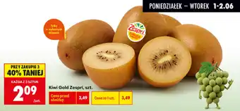Biedronka Kiwi Gold Zespri oferta