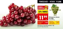 Biedronka Winogrono różowe oferta