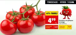 Biedronka Pomidory na gałązce oferta
