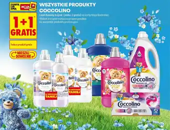 Biedronka Wszystkie produkty coccolino oferta