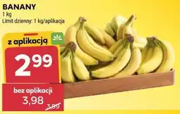 Stokrotka BANANY oferta