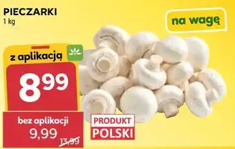 Stokrotka PIECZARKI oferta
