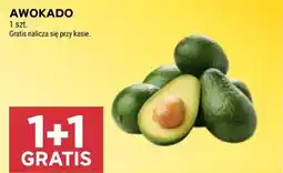 Stokrotka AWOKADO oferta