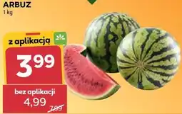Stokrotka ARBUZ oferta