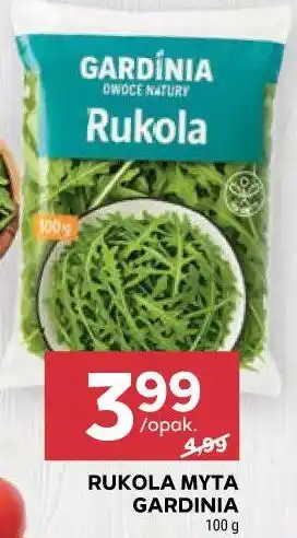 Stokrotka RUKOLA MYTA GARDINIA oferta