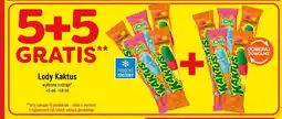 Polomarket Lody Kaktus oferta