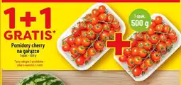 Polomarket Pomidory cherry na gałązce oferta