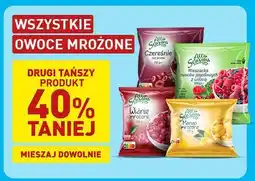 ALDI Wszystkie owoce mrożone oferta