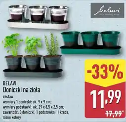 ALDI BELAVI Doniczki na zioła oferta