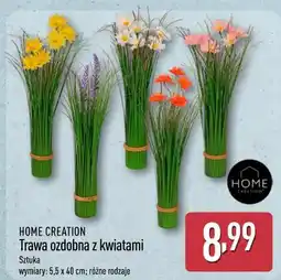 ALDI HOME CREATION Trawa ozdobna z kwiatami oferta