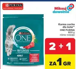 Carrefour Market Karma sucha dla kota ONE PURINA oferta