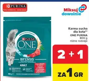 Karma sucha dla kota ONE PURINA