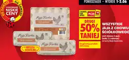 Biedronka Moja Kurka Jaja z chowu ściółkowego oferta