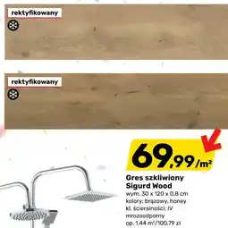 Bricomarche Gres szkliwiony Sigurd Wood oferta