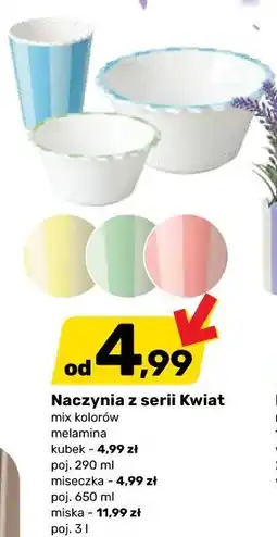 Bricomarche Naczynia z serii Kwiat oferta