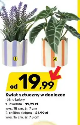 Bricomarche Kwiat sztuczny w doniczce oferta