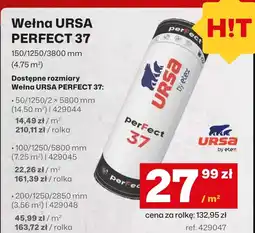 3W Wełna Ursa oferta