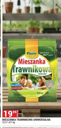 Merkury Market Trawa Planta oferta