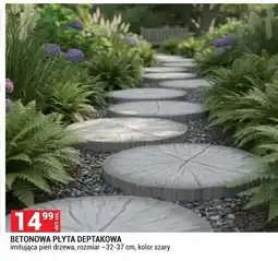 Merkury Market Płyta betonowa oferta