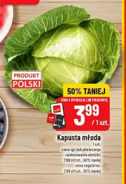 Polomarket Kapusta młoda polska oferta
