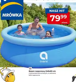 Mrówka Basen Avenli oferta