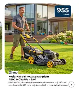 Mrówka Kosiarka spalinowa Rino oferta