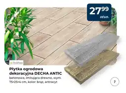 Mrówka Płyta betonowa oferta