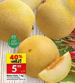 Twój Market Melon Galia oferta
