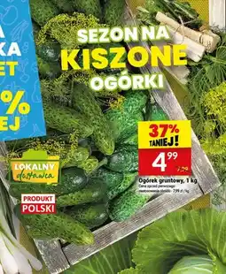 Twój Market Ogórek gruntowy oferta