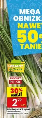 Twój Market Cebula dymka oferta