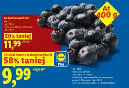 Lidl Borówki amerykańskie Plus-Plus oferta